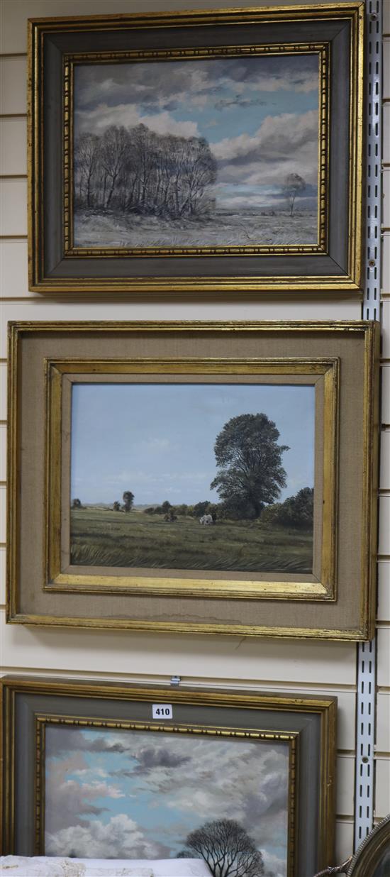 Nick Mace (b. 1949), oil on board, Flooded Fields and a pair of similar oils by the same hand 29 x 30cm